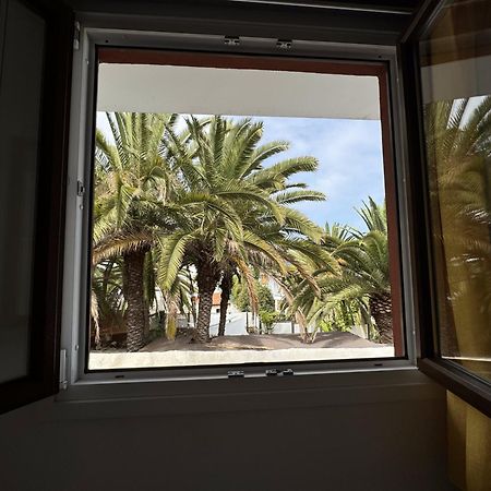 Phoenix Canariensis San Juan de la Rambla ภายนอก รูปภาพ